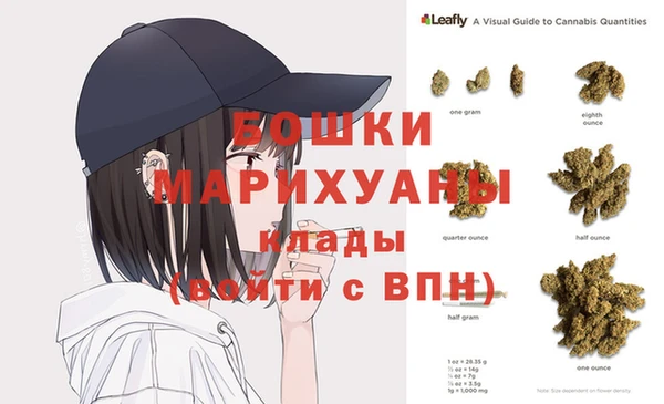 дмт Костерёво