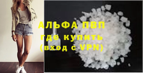 гашик Коряжма