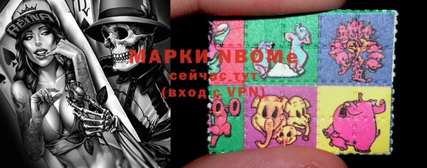 гашик Коряжма