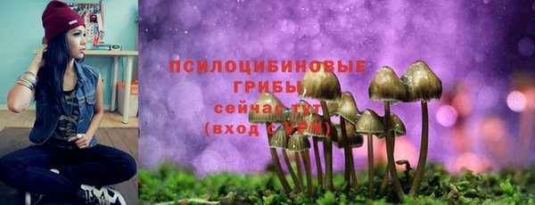 гашик Коряжма